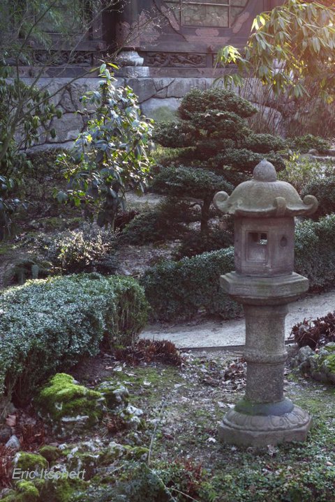 Jardin-japonais-3992b